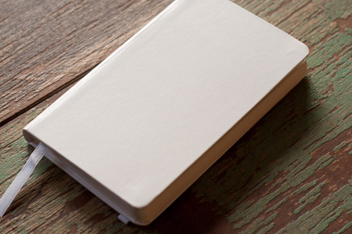 White notebook for a dream journal. For some reason it seems fitting.